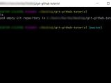 Introduction For Git And Github For Beginners Analytics Vidhya